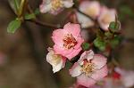 Dcim5818/DSC_0213