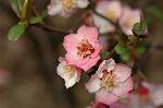 Dcim5818/DSC_0214