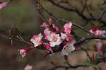 Dcim5818/DSC_0218