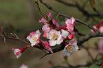 Dcim5818/DSC_0220