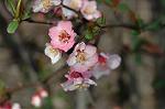 Dcim5818/DSC_0223