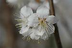 Dcim5818/DSC_0226