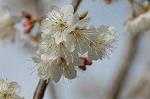 Dcim5818/DSC_0236