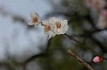Dcim5818/DSC_0269
