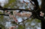 Dcim5818/DSC_0274