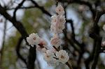 Dcim5818/DSC_0275