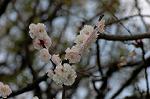 Dcim5818/DSC_0276