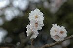 Dcim5819/DSC_0280