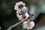 Dcim5819/DSC_0284