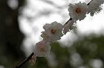 Dcim5819/DSC_0289