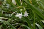 Dcim5819/DSC_0293
