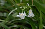 Dcim5819/DSC_0296