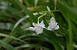 Dcim5819/DSC_0297