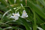 Dcim5819/DSC_0298