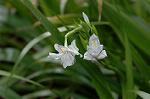 Dcim5819/DSC_0299