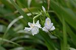 Dcim5819/DSC_0300