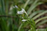 Dcim5819/DSC_0301