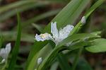 Dcim5819/DSC_0304