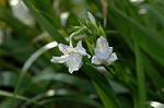 Dcim5819/DSC_0310
