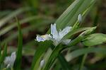 Dcim5819/DSC_0311