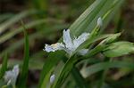 Dcim5819/DSC_0312