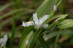 Dcim5819/DSC_0313