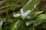 Dcim5819/DSC_0317