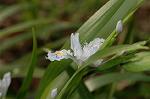 Dcim5819/DSC_0318