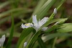 Dcim5819/DSC_0319