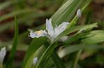 Dcim5819/DSC_0320