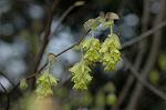Dcim5819/DSC_0341