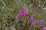 Dcim5819/DSC_0350