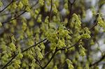 Dcim5819/DSC_0362