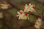 Dcim5819/DSC_0372