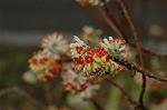 Dcim5819/DSC_0377