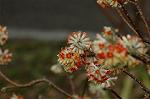 Dcim5819/DSC_0378