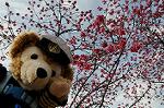 Dcim5821/DSC_3665