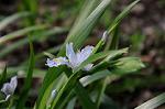 Dcim5821/DSC_3709