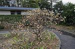Dcim5821/DSC_3755