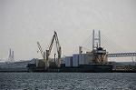Dcim5826/DSC_4380