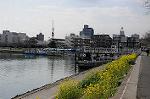Dcim5833/DSC_4908