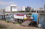 Dcim5833/DSC_4949