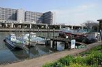 Dcim5833/DSC_4950
