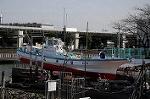Dcim5833/DSC_4952