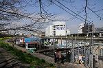Dcim5833/DSC_4956