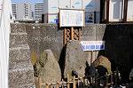 Dcim5833/DSC_4963