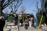 Dcim5833/DSC_4989