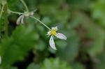 Dcim5834/DSC_0416