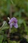Dcim5834/DSC_0421