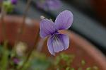 Dcim5834/DSC_0426
